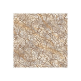 Windswept Branches - 24933